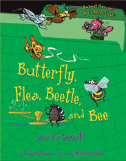 Butterfly, Flea, Beetle, and Bee What is an Insect?