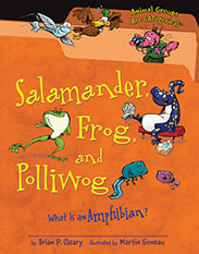 Salamander, Frog, and Polliwog What is an Amphibian?